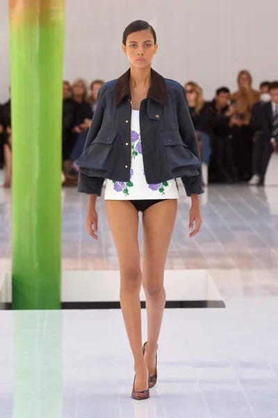 Look 36